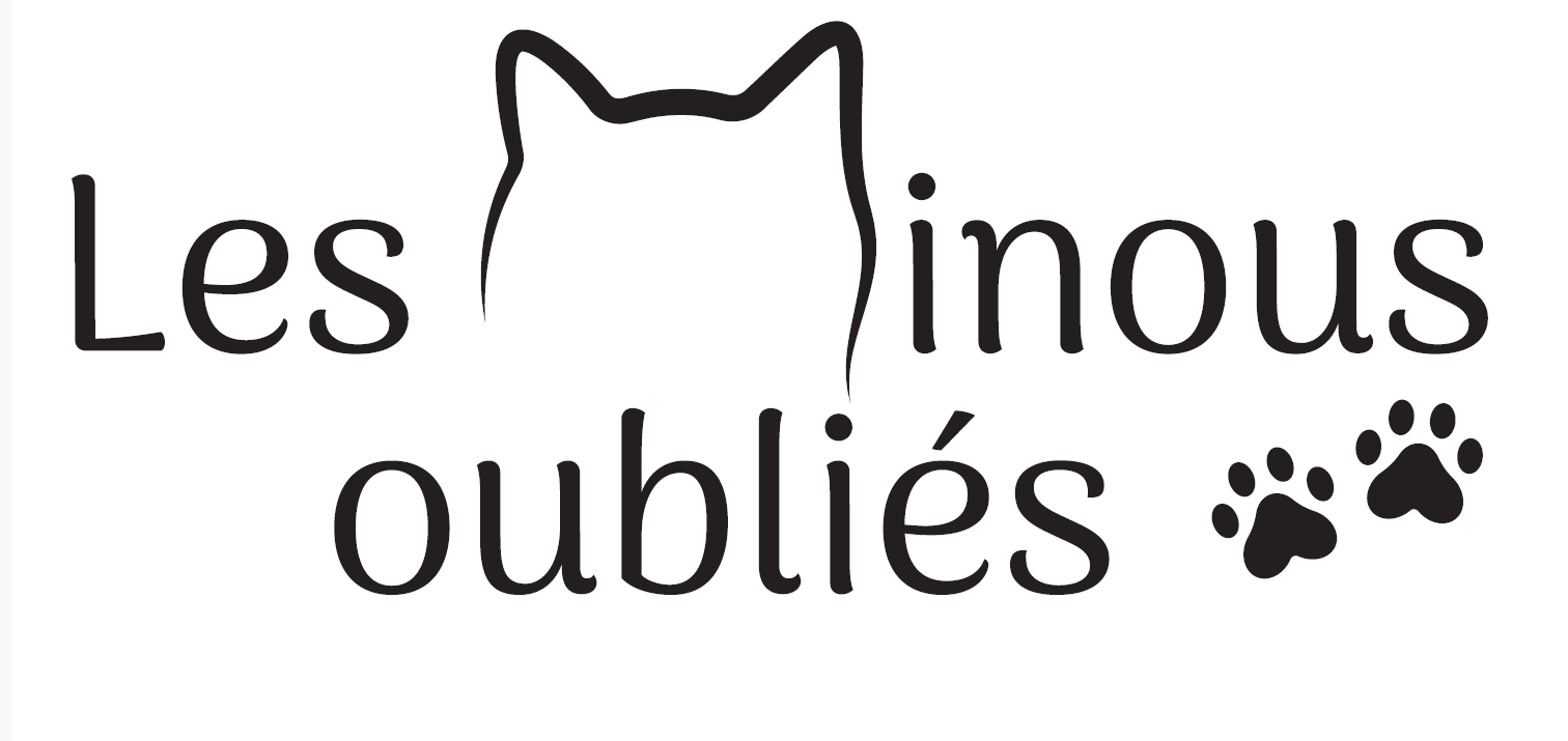 logo les minous oubliès