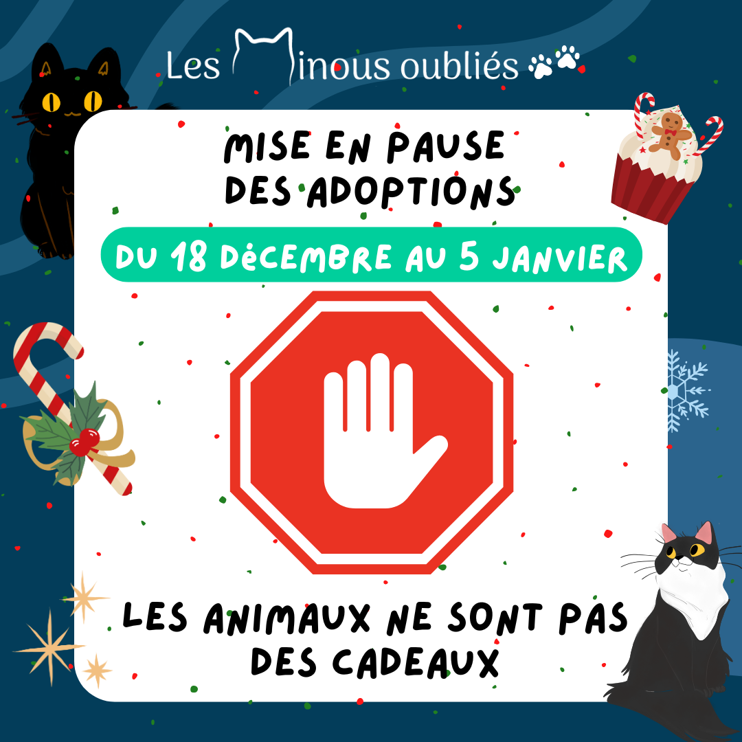 arrêt_adoptions.png